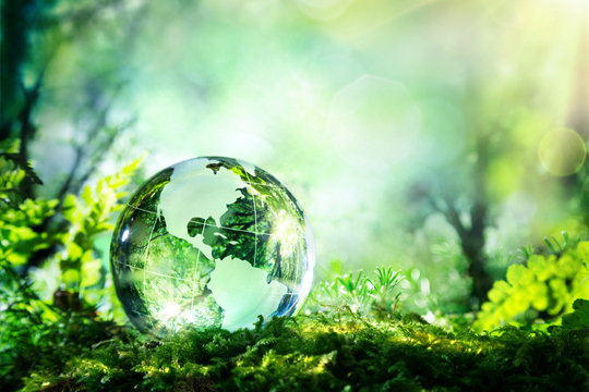 Sustainability Advocacy 