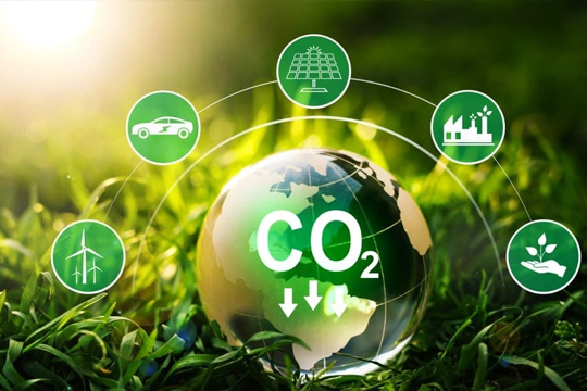 Carbon Credit Marketplace