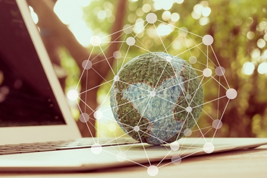 Real-Time Environmental Data